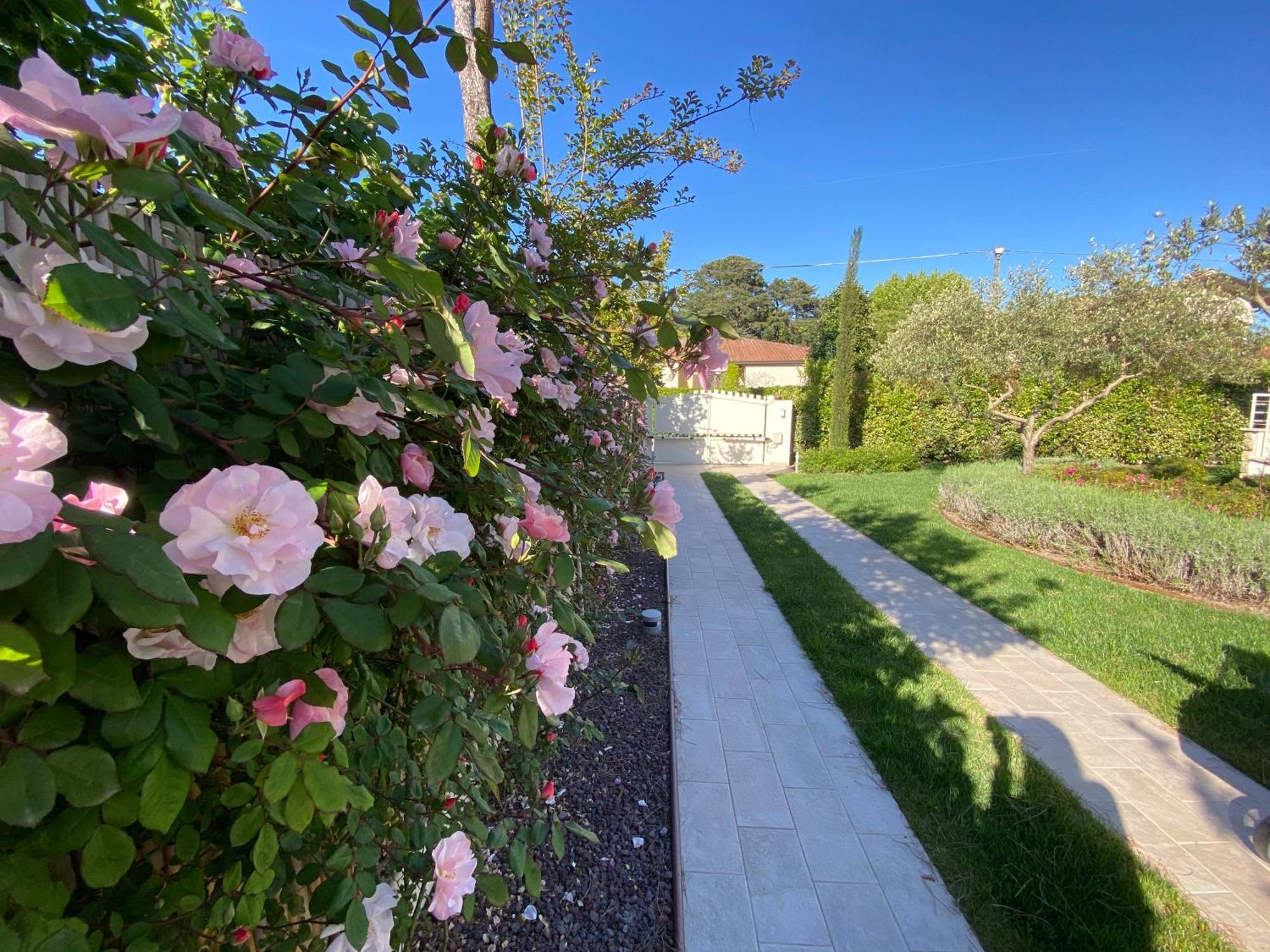 Bellaisa Bed & Breakfast Camaiore Bagian luar foto